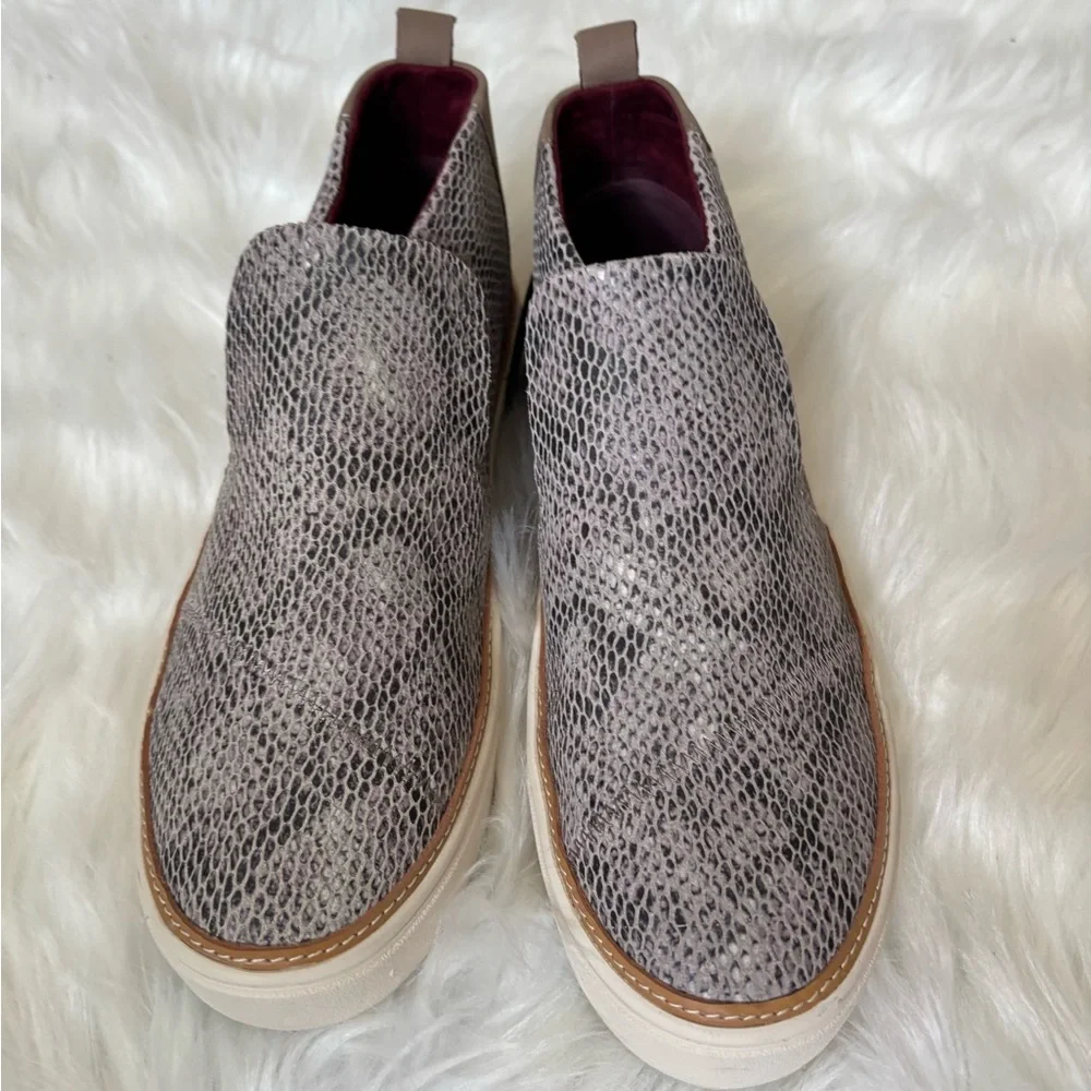 Toms meet this